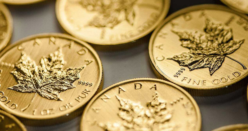 Image showing 4 Royal Canadian Mint Gold Maple Leaf 1 oz Coins