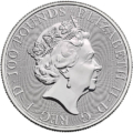 Platinum Britannia 1 oz coin observe side